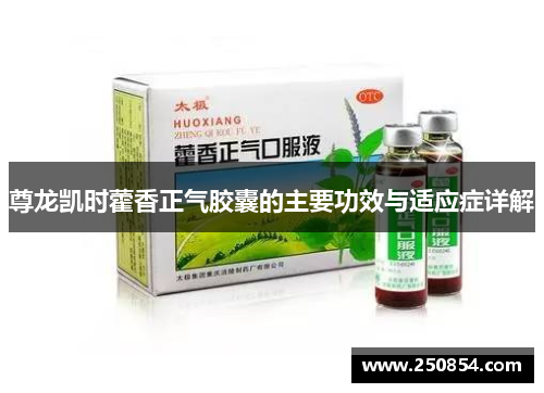 尊龙凯时藿香正气胶囊的主要功效与适应症详解