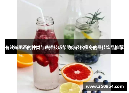 有效减肥茶的种类与选择技巧帮助你轻松瘦身的最佳饮品推荐