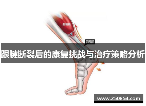 跟腱断裂后的康复挑战与治疗策略分析