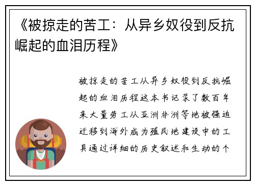 《被掠走的苦工：从异乡奴役到反抗崛起的血泪历程》